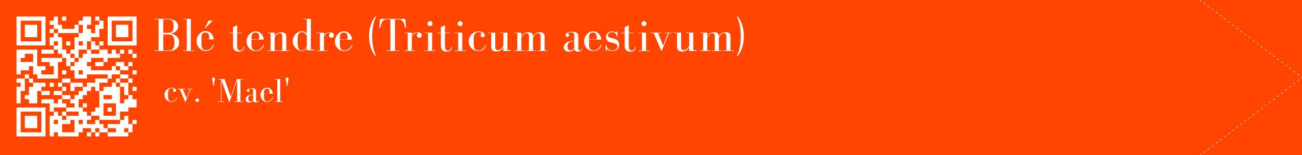 étiquette 2