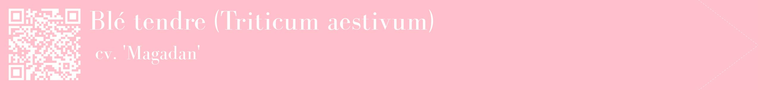 étiquette 2