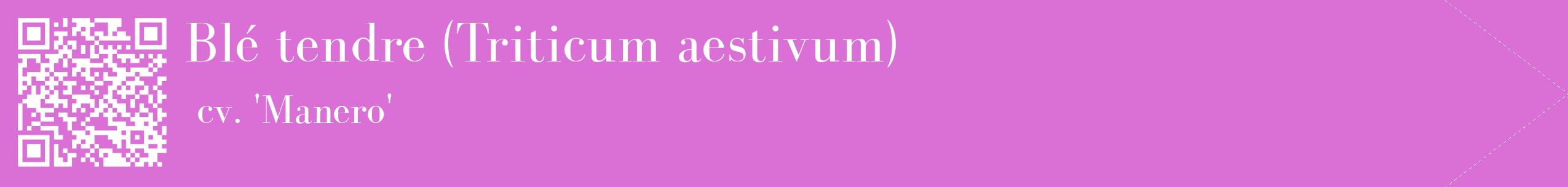 étiquette 2
