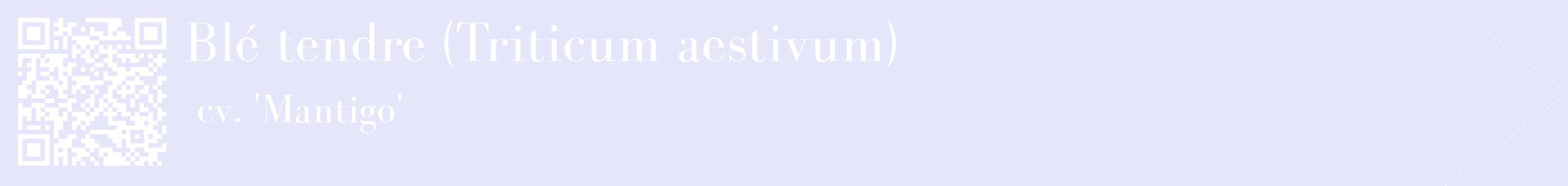 étiquette 2