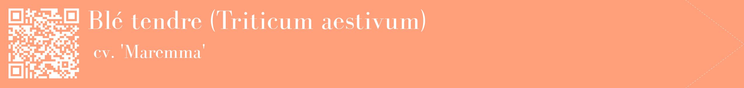 étiquette 2