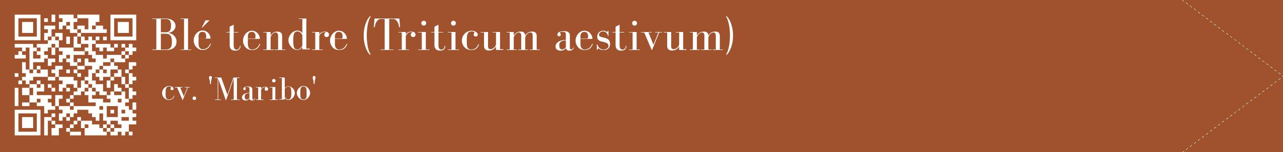 étiquette 2