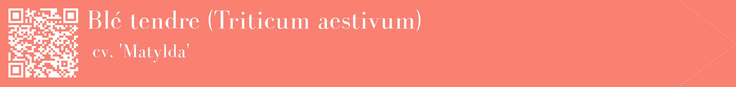 étiquette 2