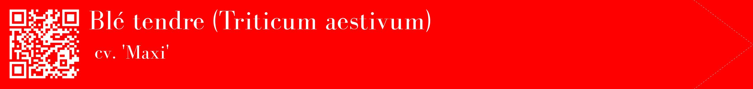 étiquette 2