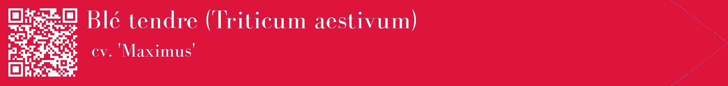 étiquette 2