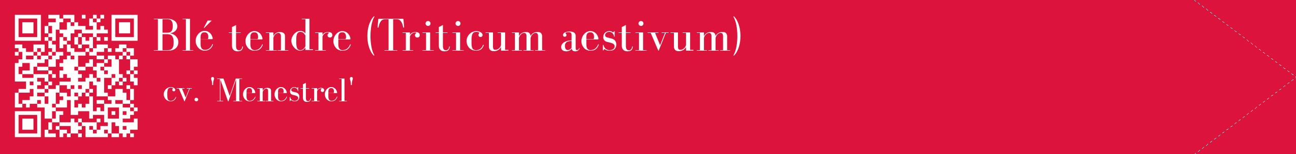étiquette 2