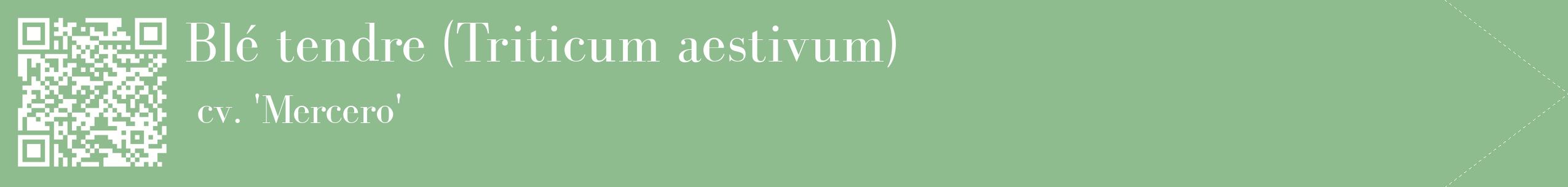 étiquette 2