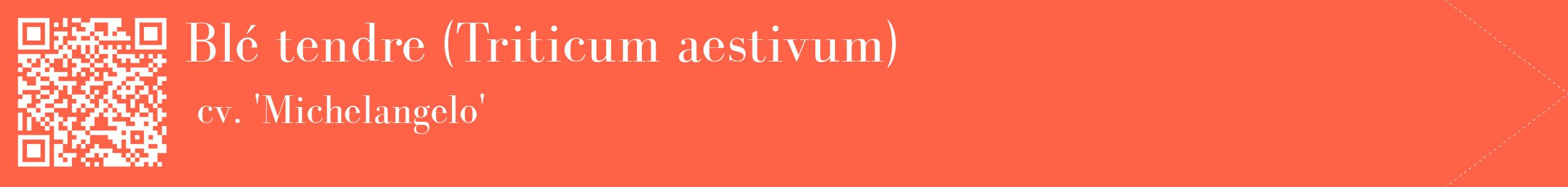 étiquette 2