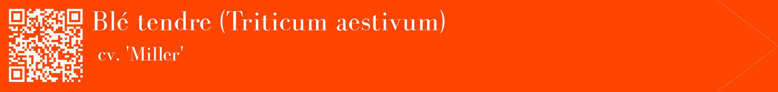 étiquette 2