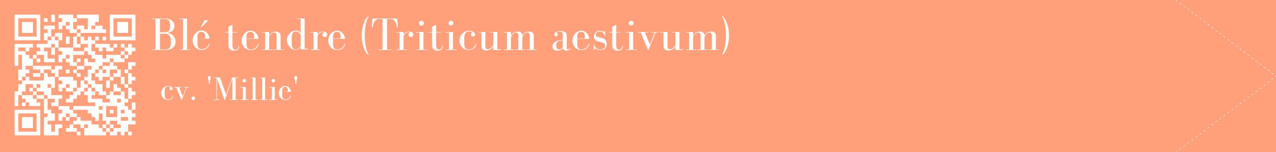 étiquette 2