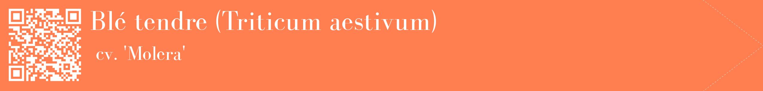 étiquette 2