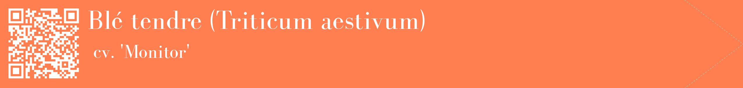étiquette 2