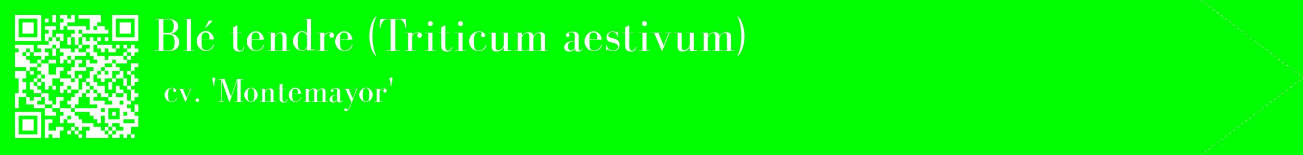 étiquette 2