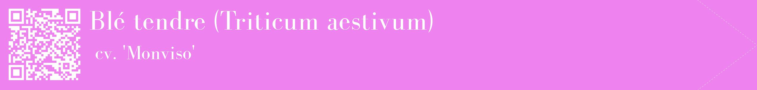 étiquette 2