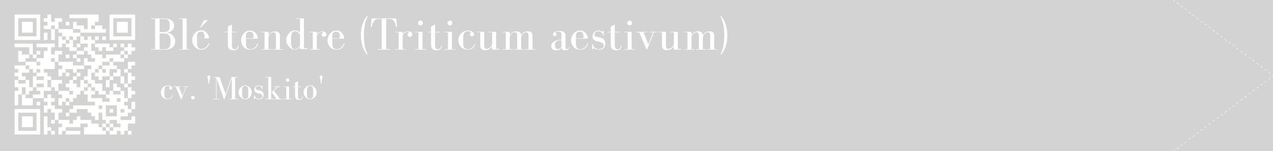 étiquette 2