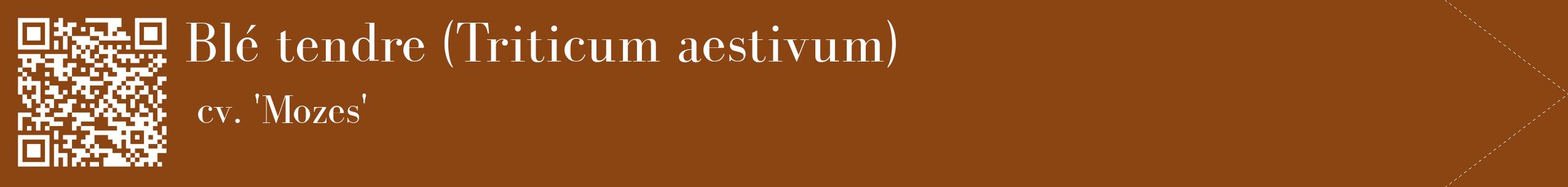étiquette 2