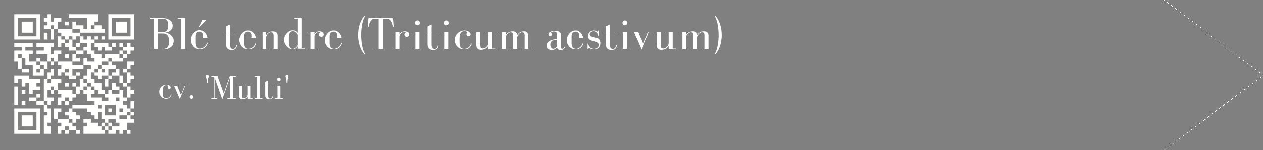 étiquette 2