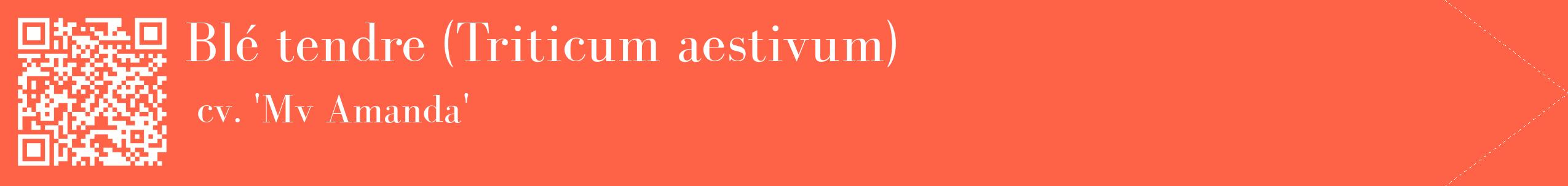 étiquette 2