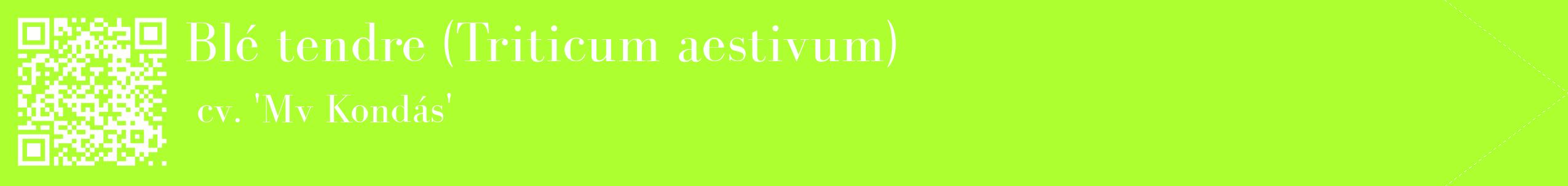 étiquette 2