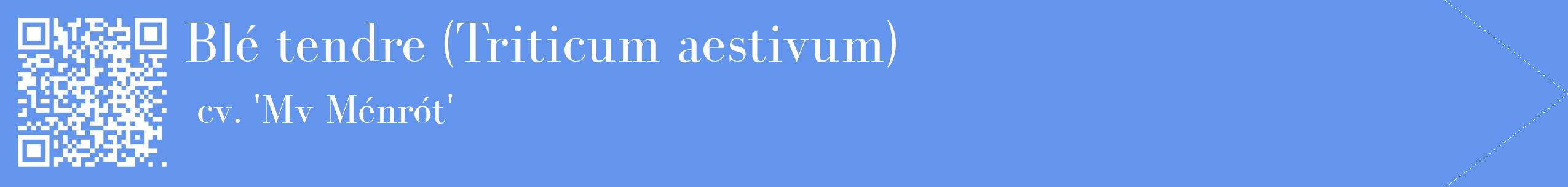 étiquette 2