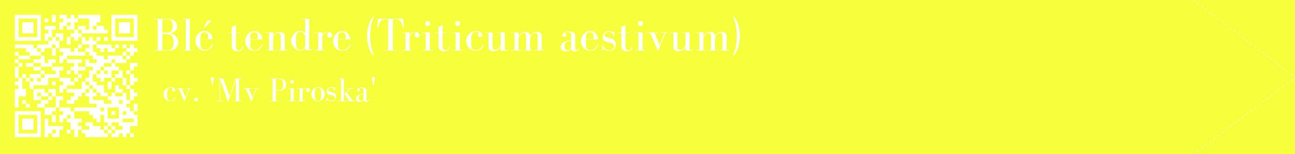 étiquette 2