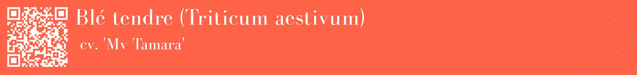 étiquette 2