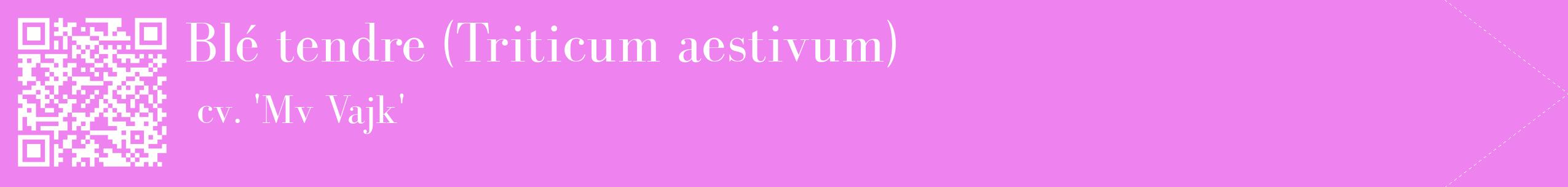 étiquette 2