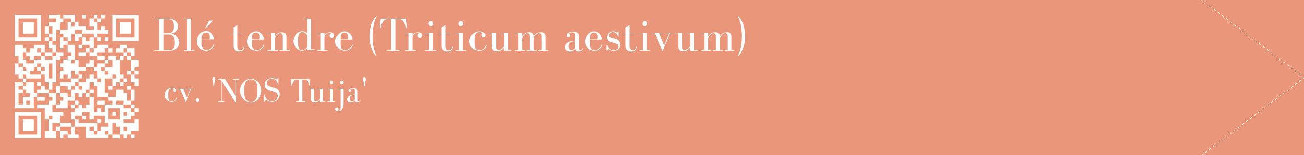 étiquette 2