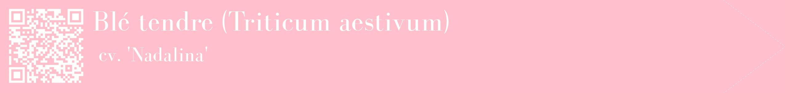 étiquette 2