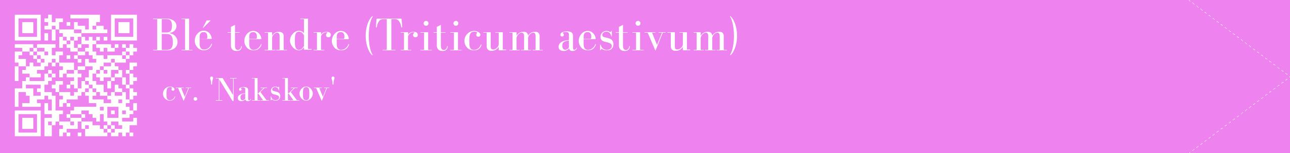 étiquette 2
