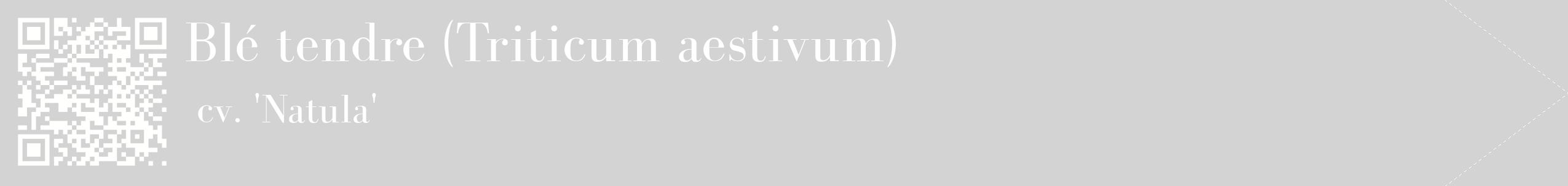 étiquette 2