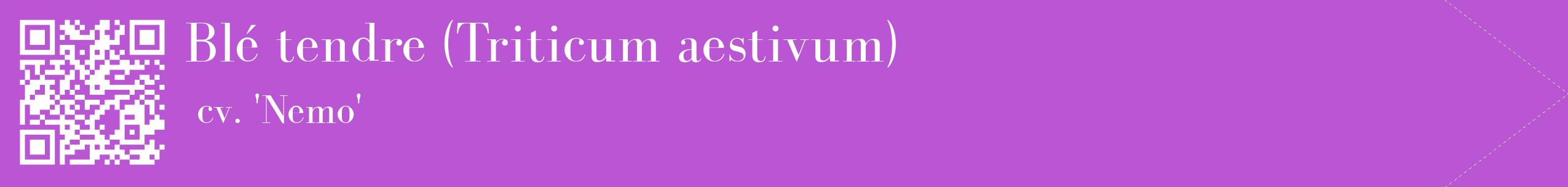 étiquette 2