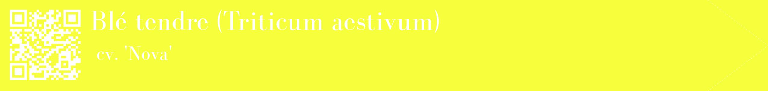 étiquette 2
