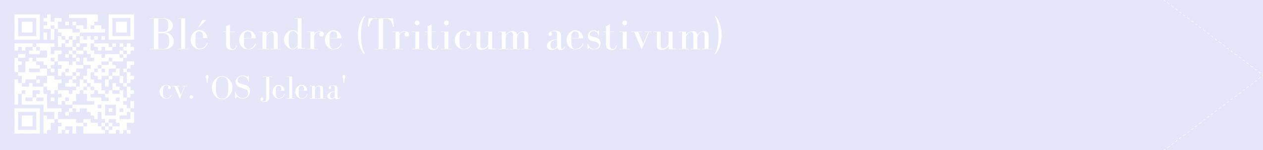 étiquette 2