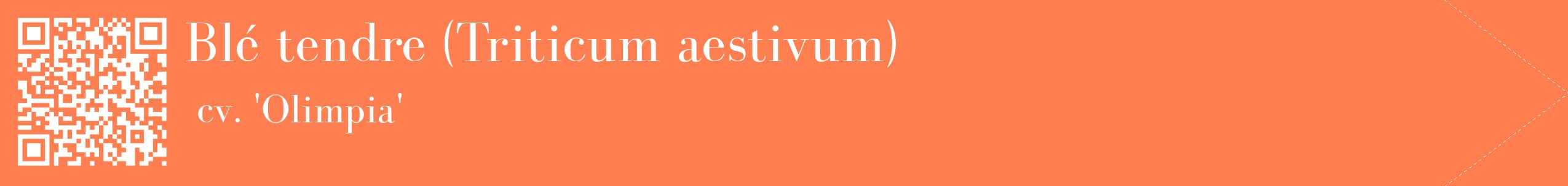 étiquette 2