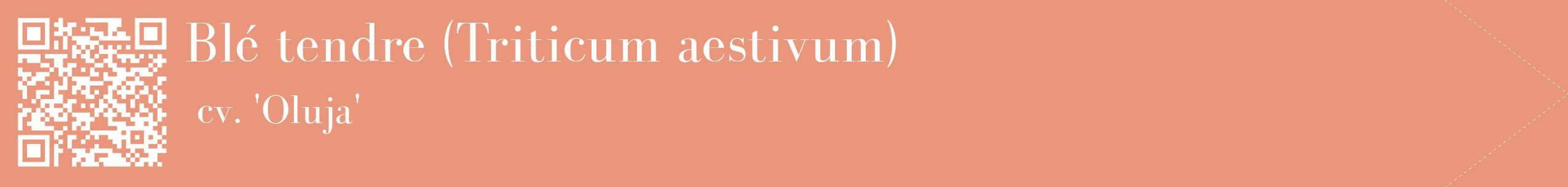 étiquette 2