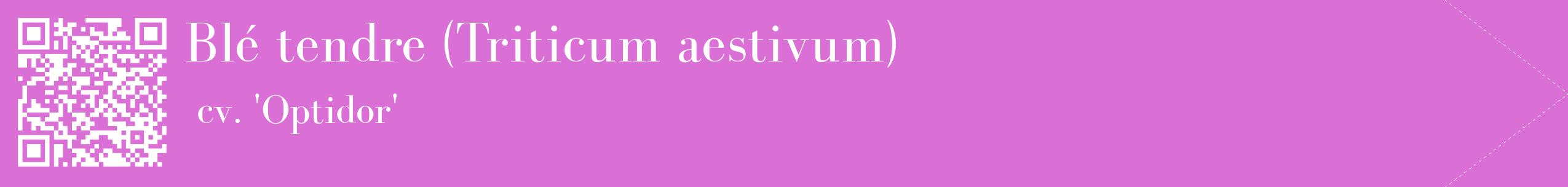 étiquette 2