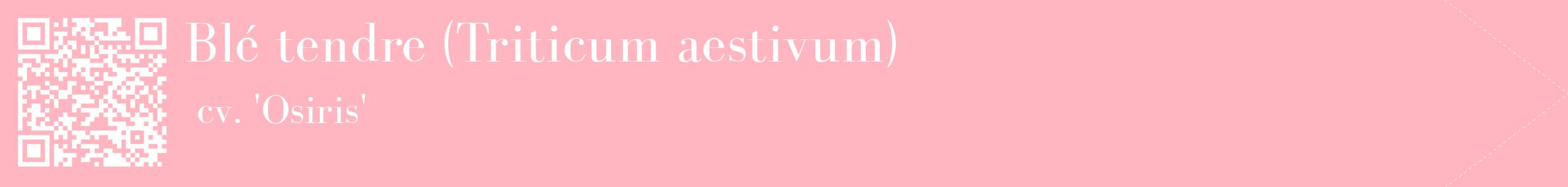 étiquette 2