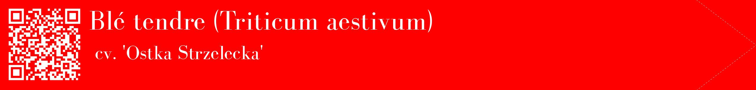 étiquette 2