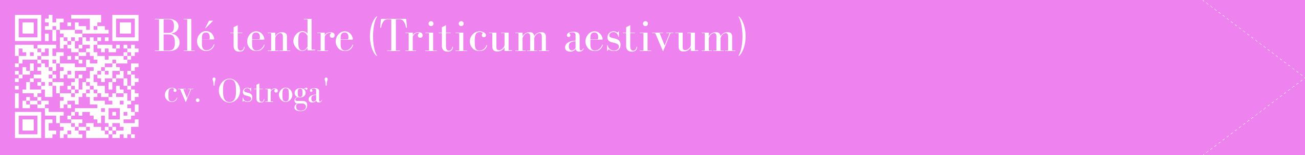 étiquette 2
