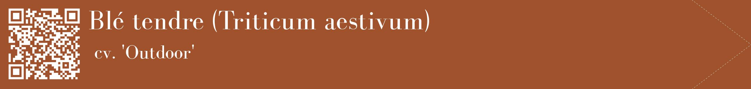 étiquette 2
