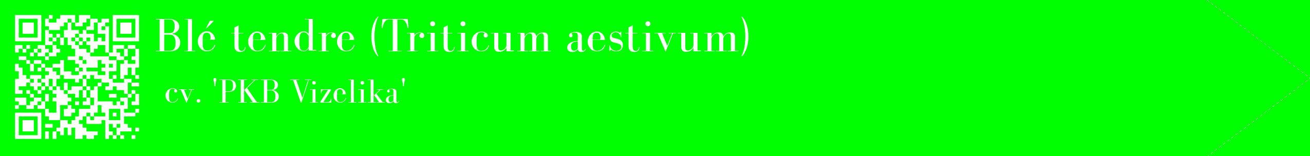étiquette 2