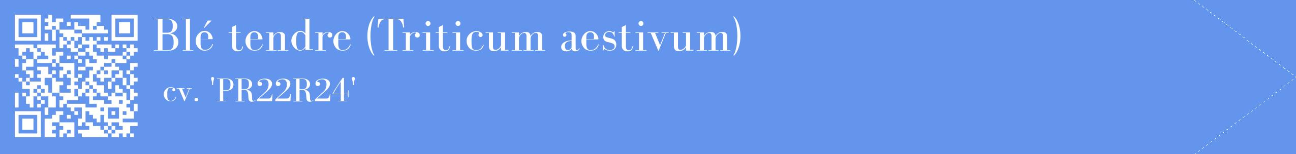 étiquette 2