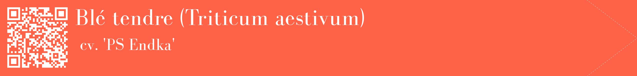 étiquette 2