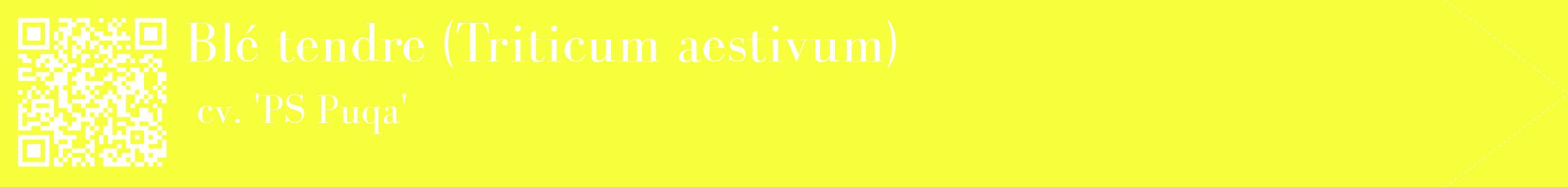 étiquette 2