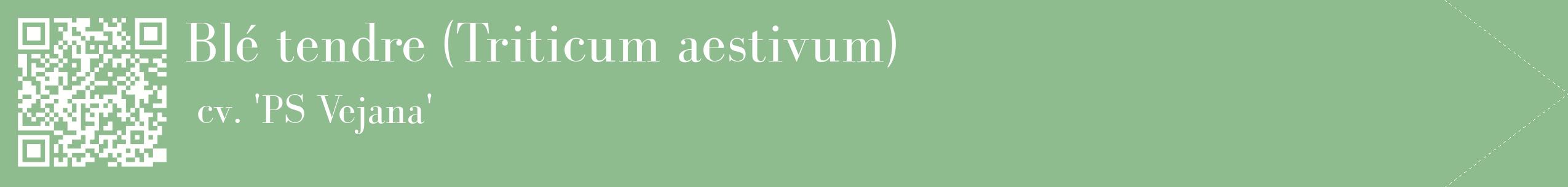 étiquette 2