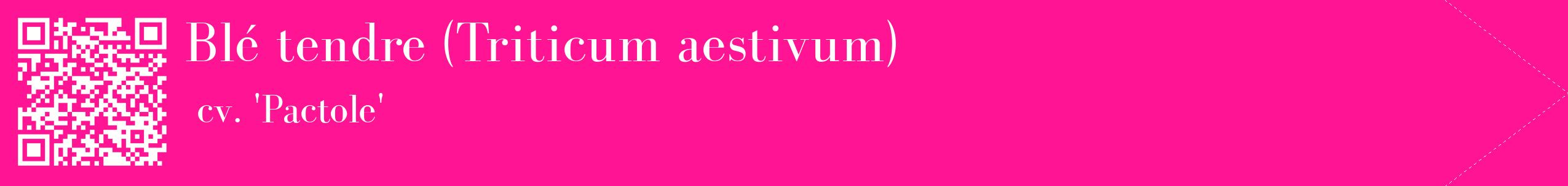 étiquette 2