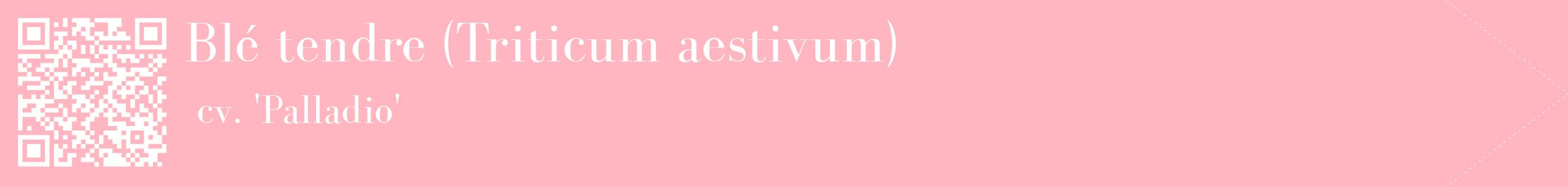 étiquette 2
