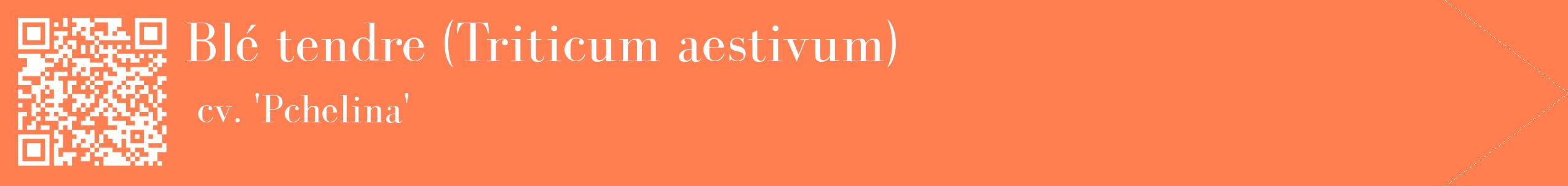 étiquette 2