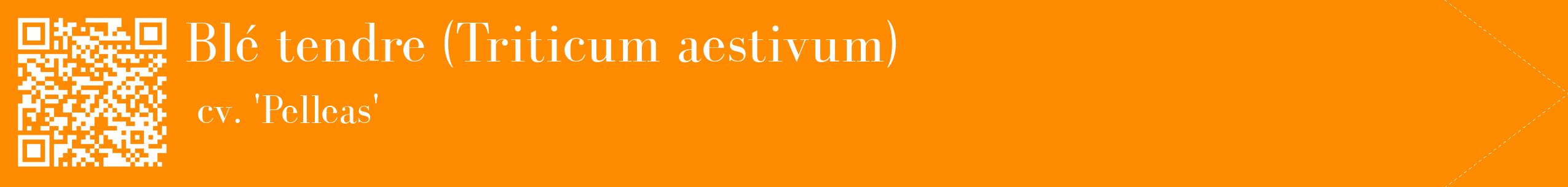 étiquette 2